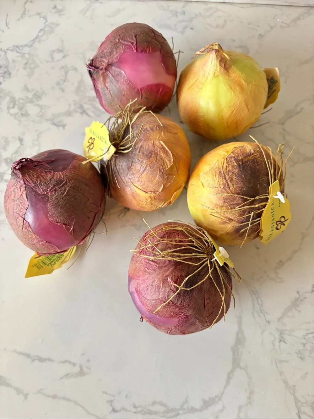 Decorative Red and Yellow Onions by Silk Botanica, NWT